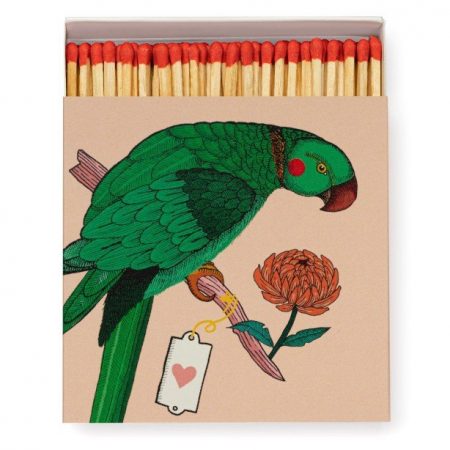 Fiammiferi Ariane parrot - Archivist